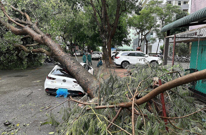 Xà cừ bật gốc đè bẹp ô tô ở trước toà VP5 bán đảo Linh Đàm, phường Hoàng Liệt, quận Hoàng Mai, Hà Nội, chiều 6/9. Ảnh: Hoàng Phong