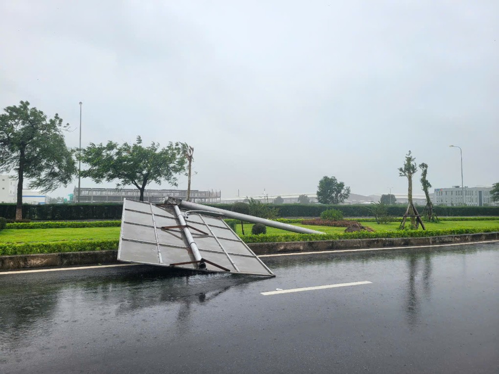 Cây đổ, tôn bay, một người tử vong trong gió bão - 20