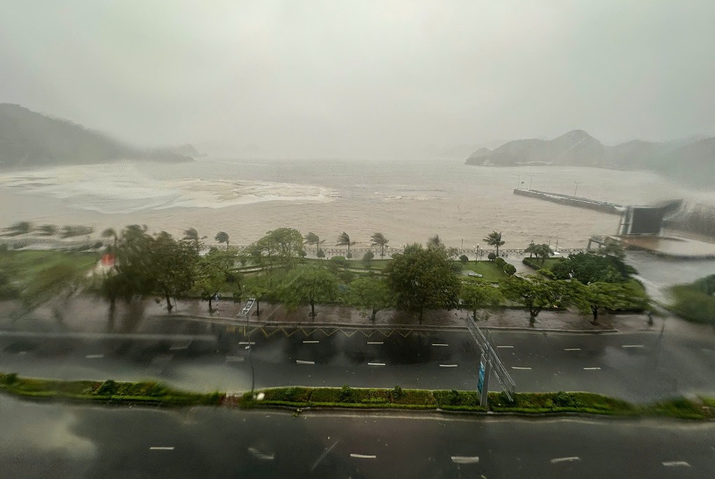 Cây đổ, tôn bay, một người tử vong trong gió bão - 8