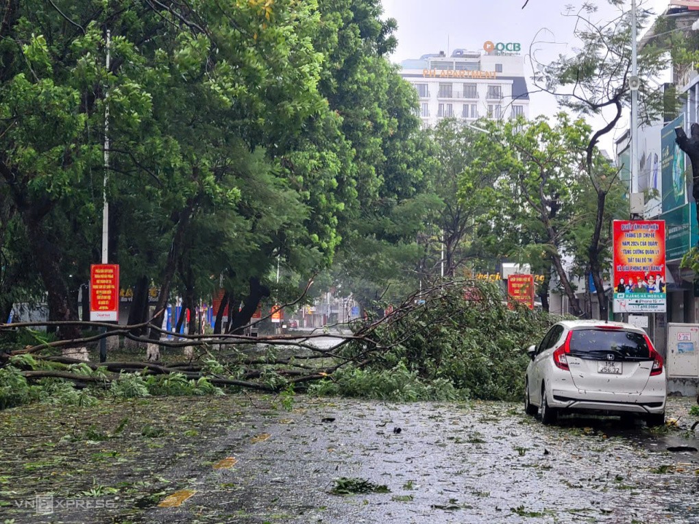 Cây đổ, tôn bay, một người tử vong trong gió bão - 17