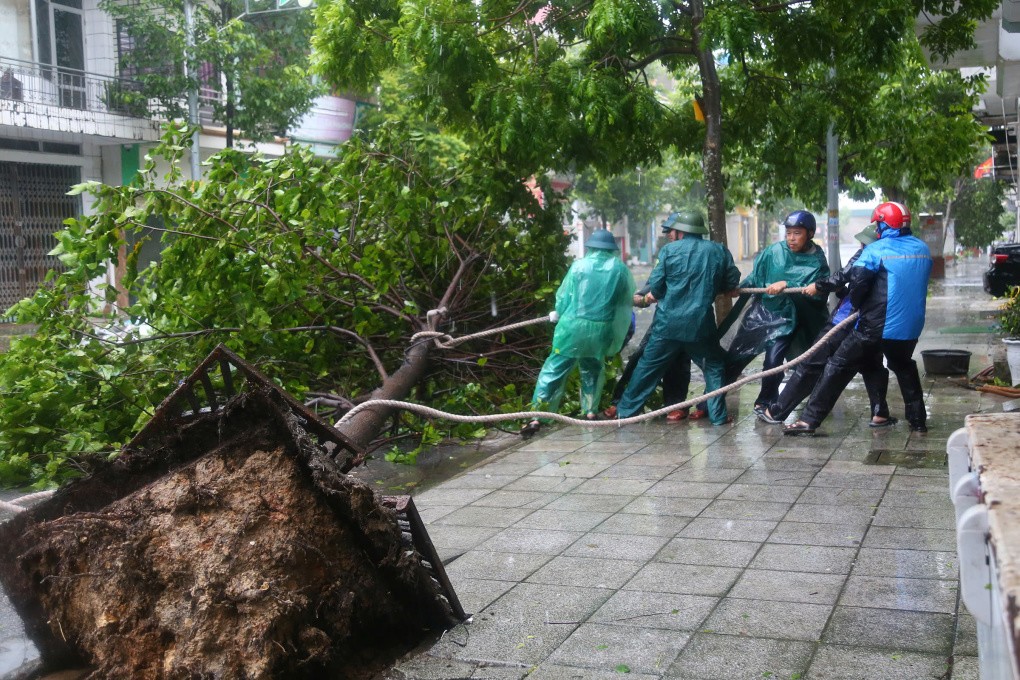 Cây đổ, tôn bay, một người tử vong trong gió bão - 29