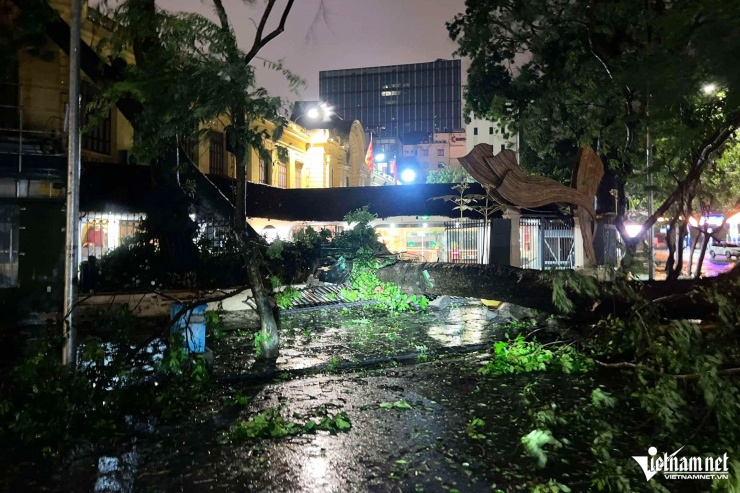 Trên phố Tràng Tiền (quận Hoàn Kiếm), cây đổ đã làm hư hỏng tường của các công trình lân cận. Tình trạng này cũng xảy ra ở nhiều quận, huyện trên địa bàn Hà Nội. 