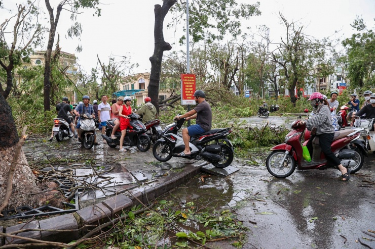 Khu vực trung tâm vườn hoa Tố Hữu.