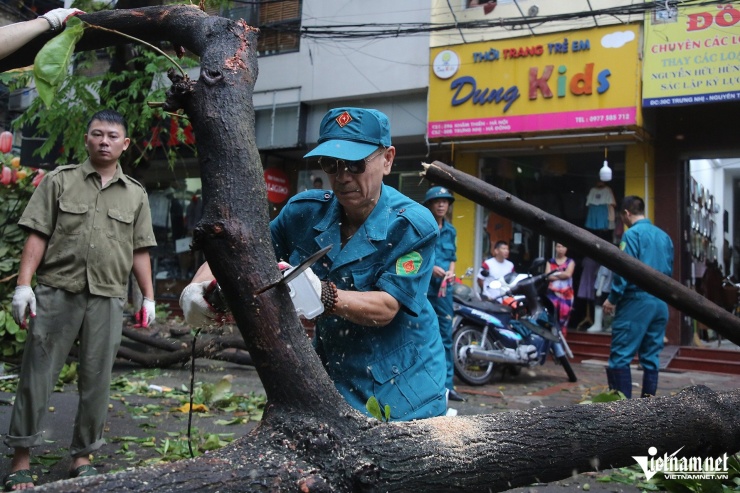 Ghi nhận tại phố Trưng Nhị (phường Nguyễn Trãi, quận Hà Đông), hàng loạt cây gãy đổ chắn ngang đường khiến phương tiện không thể đi lại. Lực lượng chức năng đã huy động nhiều người và máy móc để thu dọn.