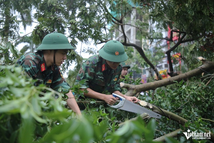 Người dân Hà Nội hối hả thu dọn cây gãy đổ, cứu hộ ô tô sau bão Yagi - 8