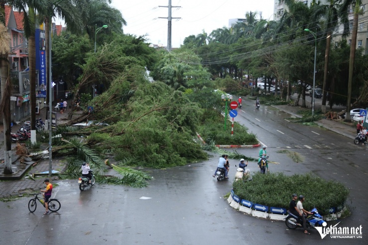 Người dân Hà Nội hối hả thu dọn cây gãy đổ, cứu hộ ô tô sau bão Yagi - 13