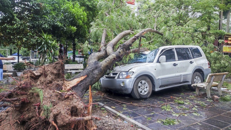 Theo ghi nhận của PV Tiền Phong, sáng ngày 8/9, trên khắp các tuyến đường Hà Nội, đâu đâu cũng thấy hình ảnh những chiếc xe ô tô bị cây xanh đổ đè lên.