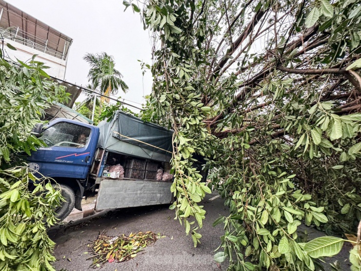 Hàng loạt ô tô ở Hà Nội bị đè bẹp sau khi bão số 3 quét qua - 3