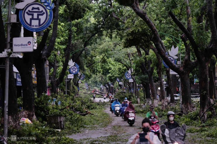 Hàng cây sấu cổ thụ nổi tiếng phố Phan Đình Phùng bị gió quật tan hoang. "Cả ngày qua tôi không dám ra khỏi nhà, sáng nay dậy đi làm thì thấy cây đổ chắn cửa cổng nhà, chưa bao giờ phố này bị ngăn đường và phải đi ngược chiều để thoát ra như vậy", chị Dung cho biết.