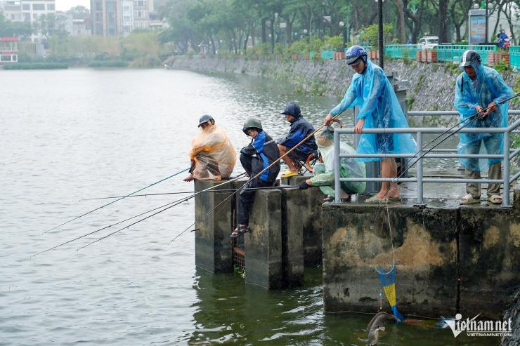 Tranh thủ nước lên cao, nhiều cá tràn về, một số người ở gần hồ Trúc Bạch mang cần ra câu ngay từ sáng 8/9.