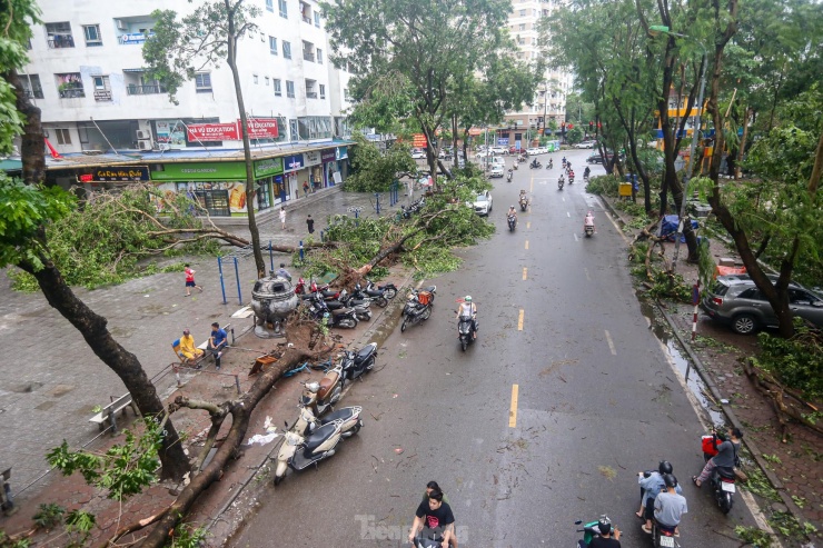 Ghi nhận của PV, khu đô thị Linh Đàm (quận Hoàng Mai), khu vực có mật độ dân cư dày nhất Thủ đô trở nên tan hoang, cây đổ hàng loạt, cuộc sống sinh hoạt của nơi vạn dân bị ảnh hưởng.