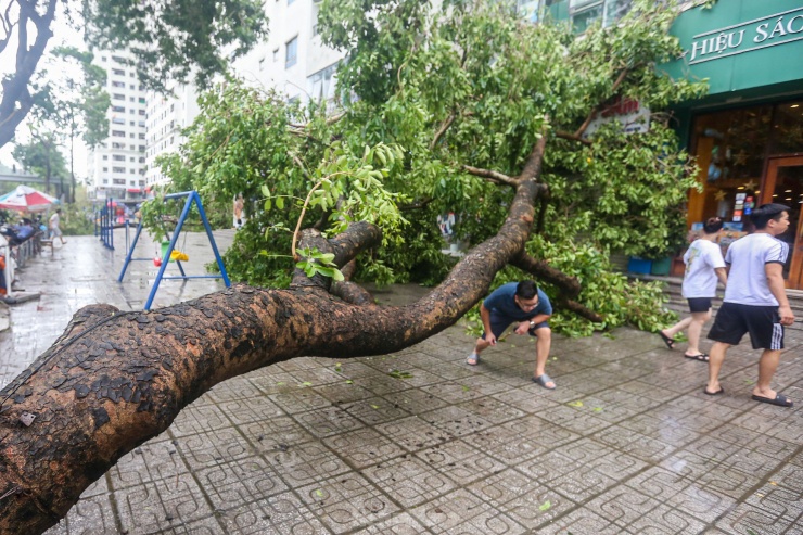 Khu đô thị đông dân nhất Thủ đô tan hoang sau bão Yagi, 'có nhà nhưng không có lối vào' - 4