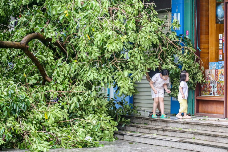 Khu đô thị đông dân nhất Thủ đô tan hoang sau bão Yagi, 'có nhà nhưng không có lối vào' - 5