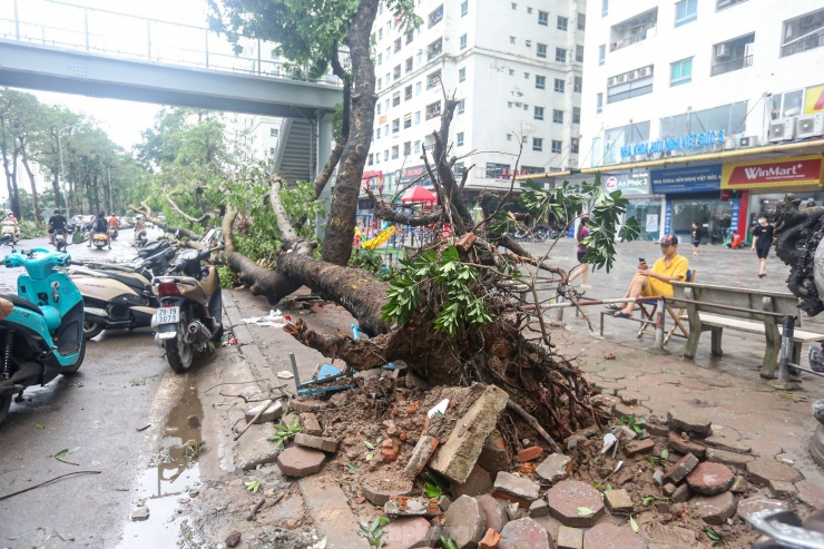 Khu đô thị đông dân nhất Thủ đô tan hoang sau bão Yagi, 'có nhà nhưng không có lối vào' - 7