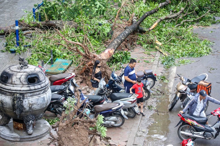 Khu đô thị đông dân nhất Thủ đô tan hoang sau bão Yagi, 'có nhà nhưng không có lối vào' - 21