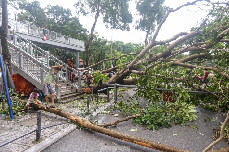 Khu đô thị đông dân nhất Thủ đô tan hoang sau bão Yagi, 'có nhà nhưng không có lối vào' - 19