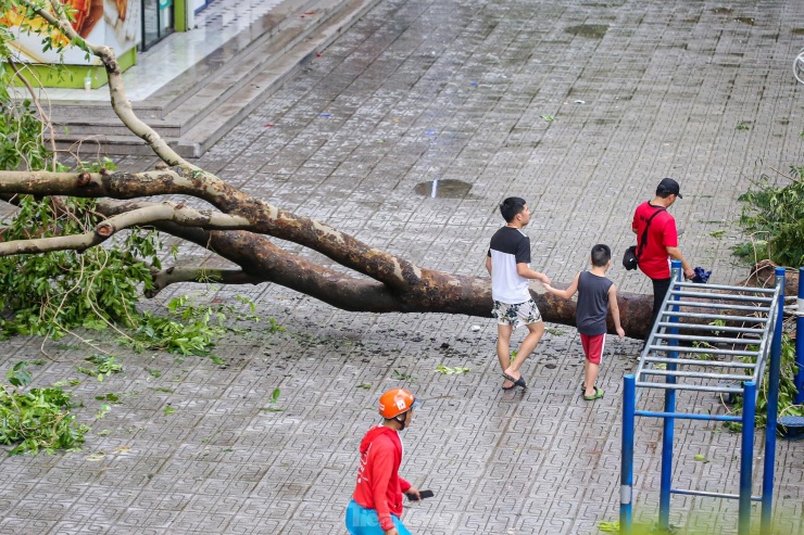 Người dân di chuyển khó khăn khi phải vượt qua nhiều "chướng ngại vật".