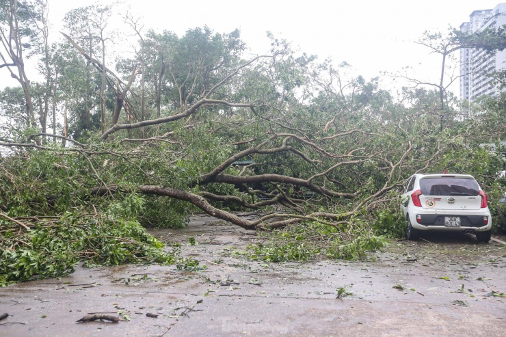 Khu đô thị đông dân nhất Thủ đô tan hoang sau bão Yagi, 'có nhà nhưng không có lối vào' - 25