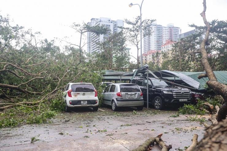 Mọi phương tiện trong này bị cô lập.