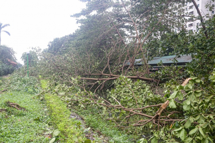 Khu đô thị đông dân nhất Thủ đô tan hoang sau bão Yagi, 'có nhà nhưng không có lối vào' - 29