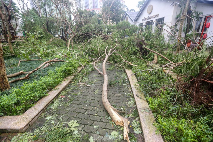 Các lối đi trong công viên đều bị chặn, cây gãy đổ hàng loạt.