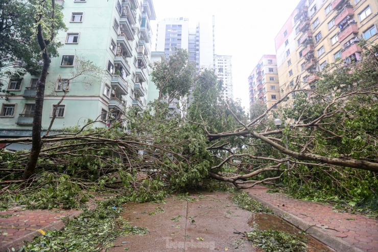 Khu đô thị đông dân nhất Thủ đô tan hoang sau bão Yagi, 'có nhà nhưng không có lối vào' - 31