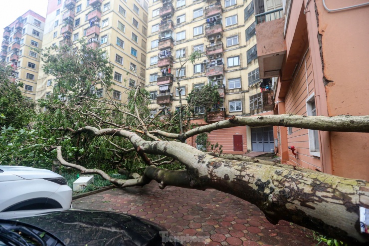 Khu đô thị đông dân nhất Thủ đô tan hoang sau bão Yagi, 'có nhà nhưng không có lối vào' - 32