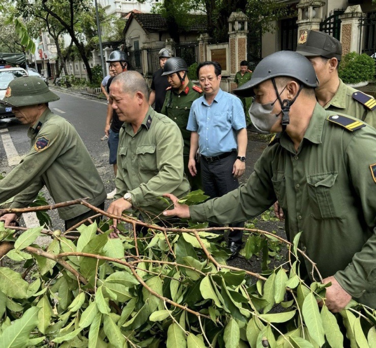 Trường học tại Hà Nội tốc mái, cây xanh đổ gãy tan hoang sau bão - 14