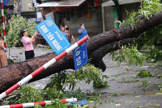 Hàng nghìn cây xanh tại Hà Nội bị gãy đổ do ảnh hưởng bão số 3.