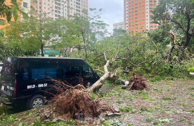 Cơn bão số 3 gây nhiều hại cho thành phố Hà Nội.