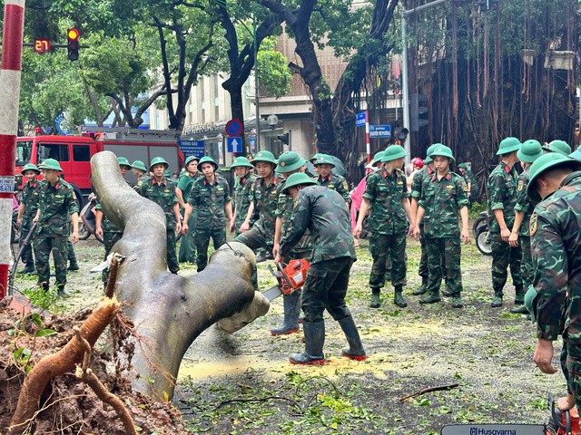 Tuyến đường này có nhiều cây cổ thụ