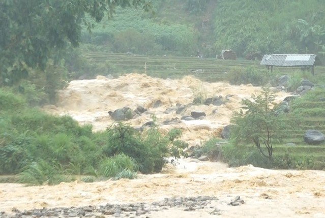 Mưa lớn đã làm 610,48 ha cây trồng bị thiệt hại, ảnh hưởng; trong đó, có 533,01 ha lúa; 57,46 ha ngô, rau màu; 21 ha cây lâm nghiệp; trên 160 gia cầm, gia súc chết.