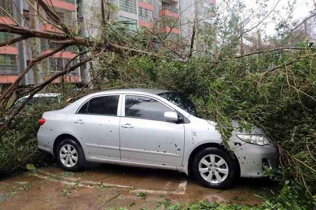 Cây cối bật gốc, đổ đè lên xe cộ trên đường phố khi cơn bão Yagi mang theo gió mạnh đổ bộ vào tỉnh Hải Nam, Trung Quốc. Ảnh: AP.