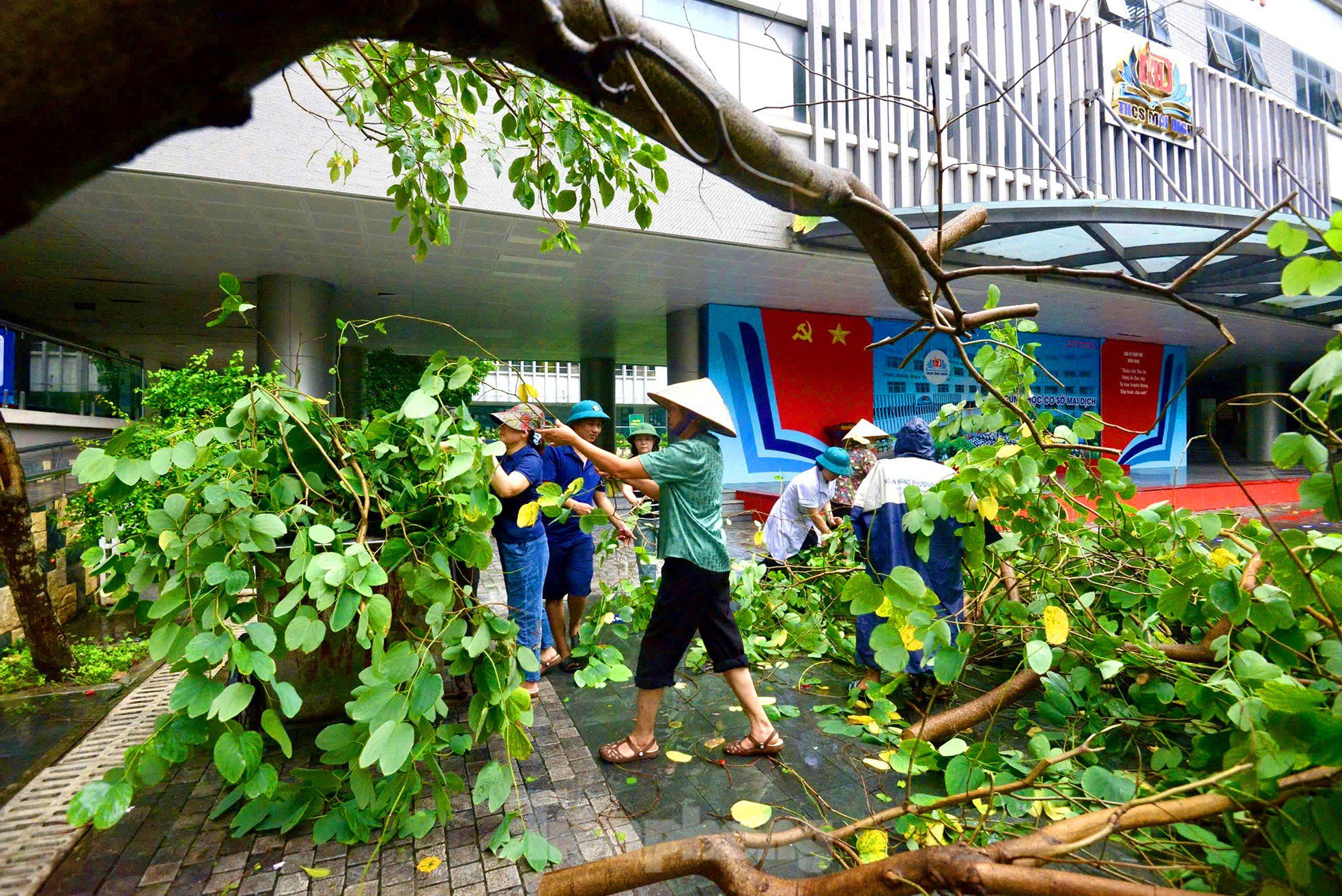 Trường học tại Hà Nội tốc mái, cây xanh đổ gãy tan hoang sau bão - 11