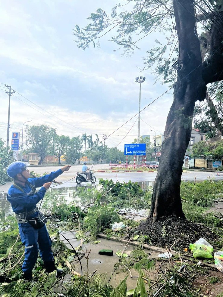 Di động, Internet 