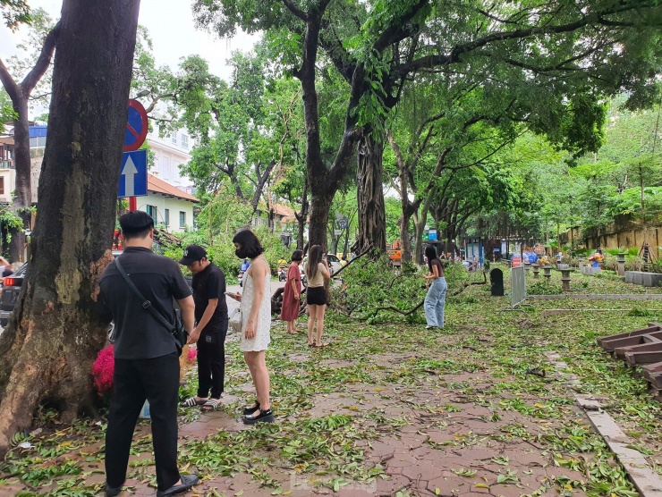 Mặc cây đổ la liệt, nhiều người vẫn ‘mê’ check-in trên tuyến đường nổi tiếng đẹp nhất Hà Nội - 17