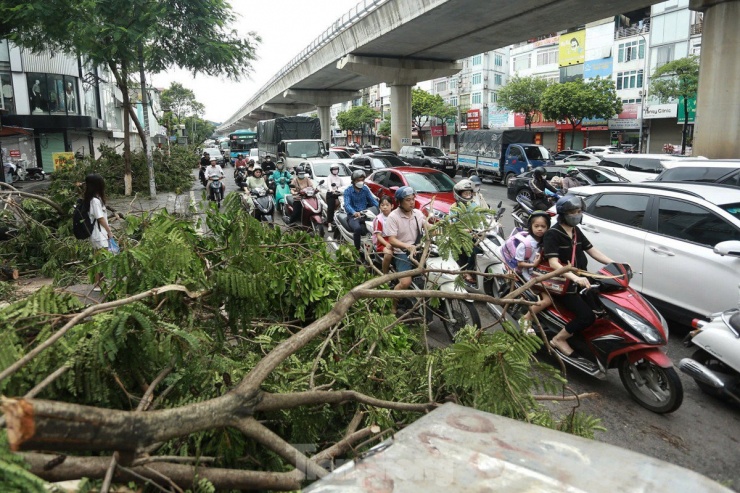 Đường phố Hà Nội vẫn ngổn ngang cây đổ, người dân 'vượt ải' ùn tắc đến công sở - 9