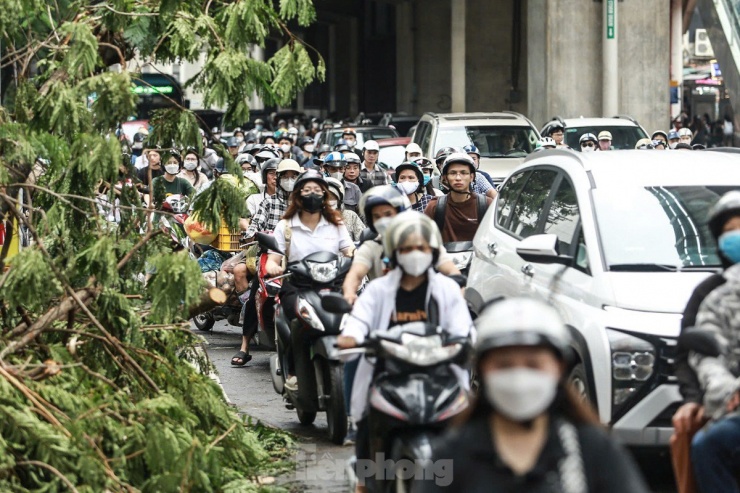 Đường phố Hà Nội vẫn ngổn ngang cây đổ, người dân 'vượt ải' ùn tắc đến công sở - 8