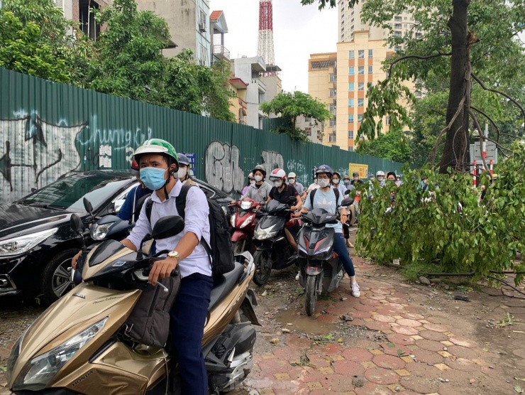 Cơn bão số 3 vừa qua đã khiến hàng chục cây xanh trên đường Tố Hữu bật gốc, đổ ngang. Một số đoạn đường bị cây cản trở, gây ách tắc giao thông.