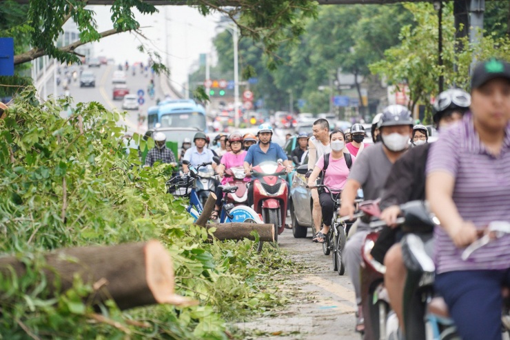 Dòng xe chậm rãi di chuyển trên đường Nguyễn Chí Thanh.