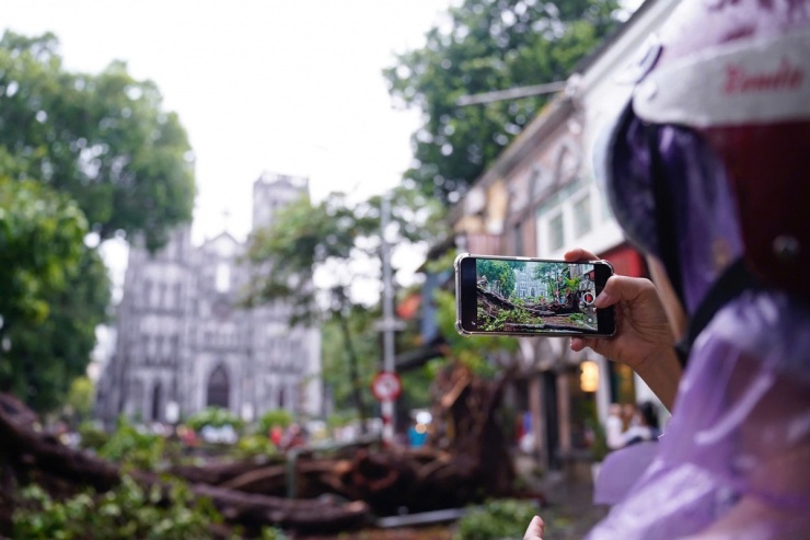 Những 'cây check in' ở Hà Nội trước và sau bão - 6