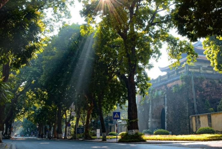 Những 'cây check in' ở Hà Nội trước và sau bão - 7
