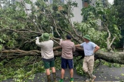 Xuân Bắc cùng hai con dọn cây đổ sau bão