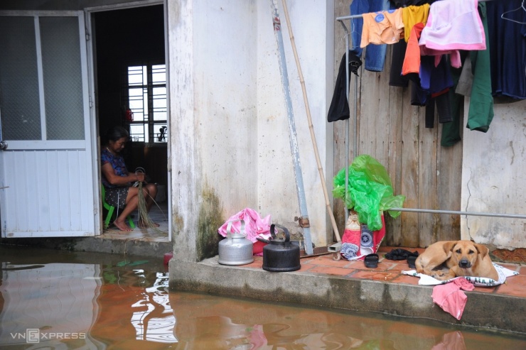 Người phụ nữ ngồi đan cói trong khi nước tràn vào sân. UBND huyện Chương Mỹ cho biết, có 3 thôn bị ngập làm 273 hộ với 1.100 nhân khẩu bị ảnh hưởng. Ngoài ra, 1.300 m giao thông nội đồng, hơn 4.000 m giao thông nông thôn bị ngập.