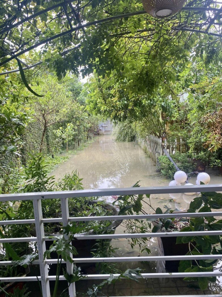 “Bao nhiêu năm trồng mới được như thế”, “Lại mất công dọn dẹp rồi trồng lại, nhìn đau lòng quá”... một số bạn bè bày tỏ với nữ nghệ sĩ.