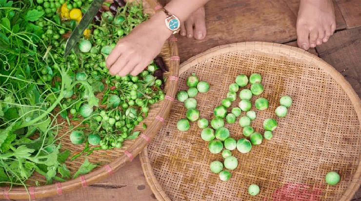 Không chỉ là loại món ăn đặc sản, cà đắng còn có nhiều lợi ích như kích thích sự thèm ăn, mát gan, sáng mắt, tăng cường sức đề kháng của cơ thể…&nbsp;
