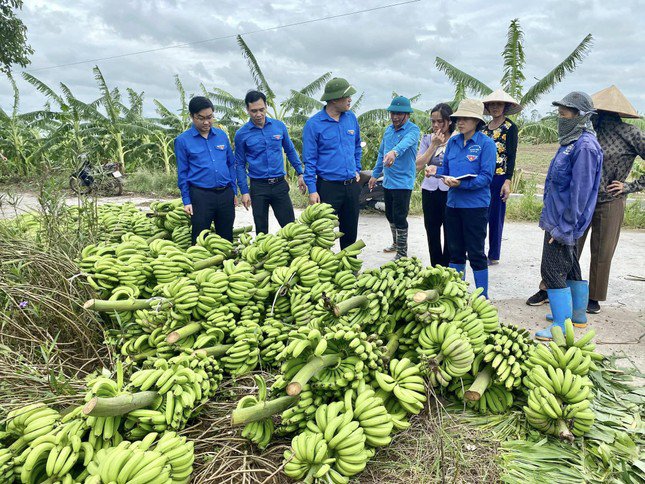 Ảnh: Tỉnh Đoàn Thái Bình