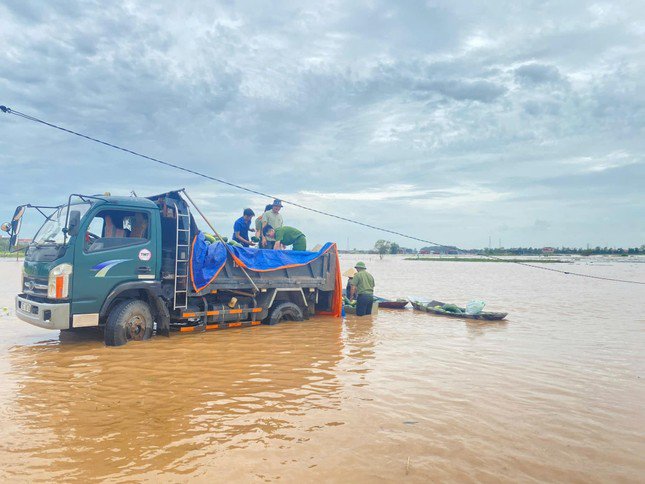 Nhiều diện tích dưa chưa kịp thu hoạch vẫn 