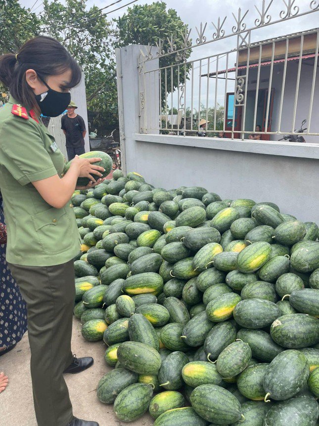 Nhiều tấn dưa dự kiến sẽ đưa dưa về khu vực chợ Yên Duyên để giải cứu giúp bà con nông dân. Ảnh: Xuân Xuân