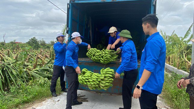 Đoàn thanh niên hỗ trợ nông dân "giải cứu" nông sản bị thiệt hai sau cơn bão số 3 - 7